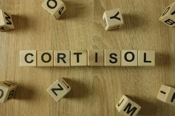 Image saying "Cortisol" and how stress Basingstoke  impacts your wellbeing and bodies shape